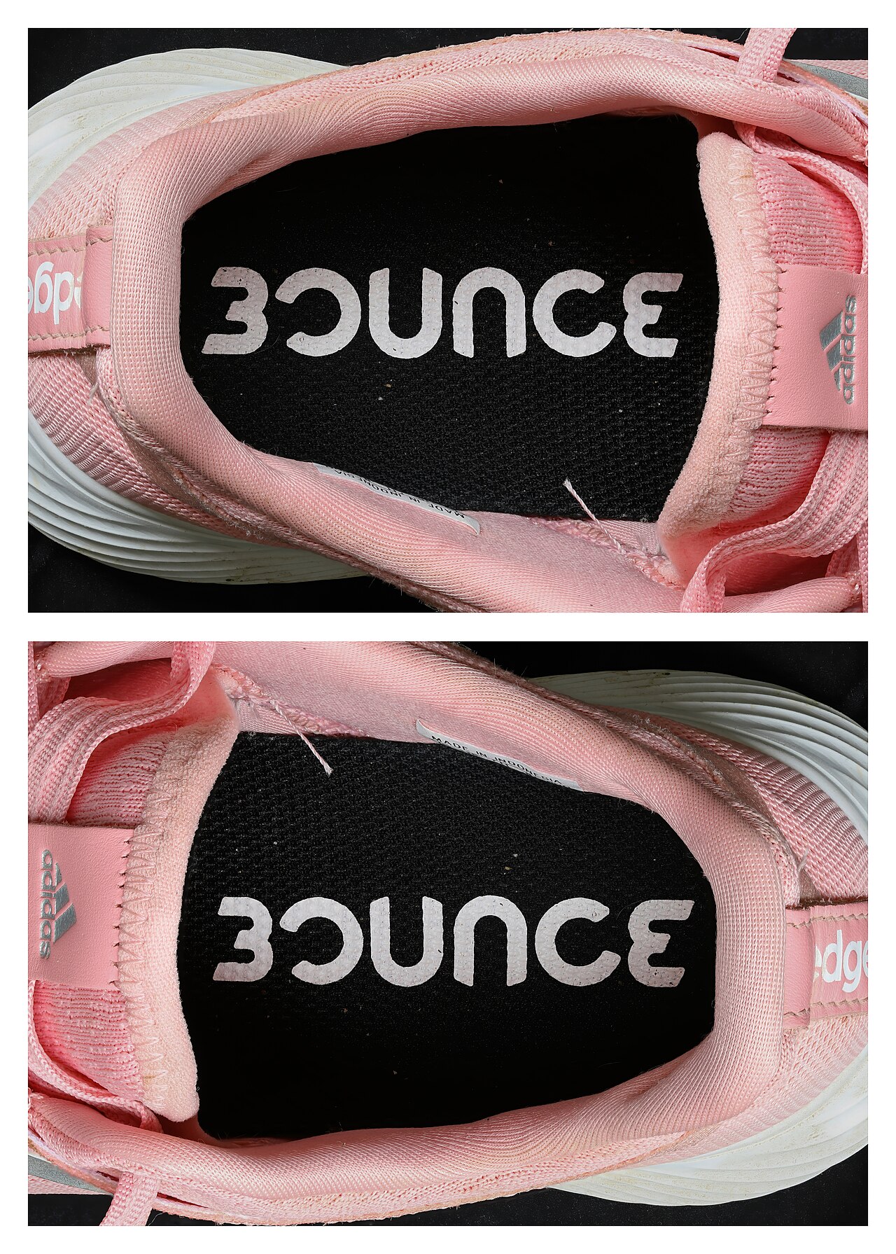 Shoe